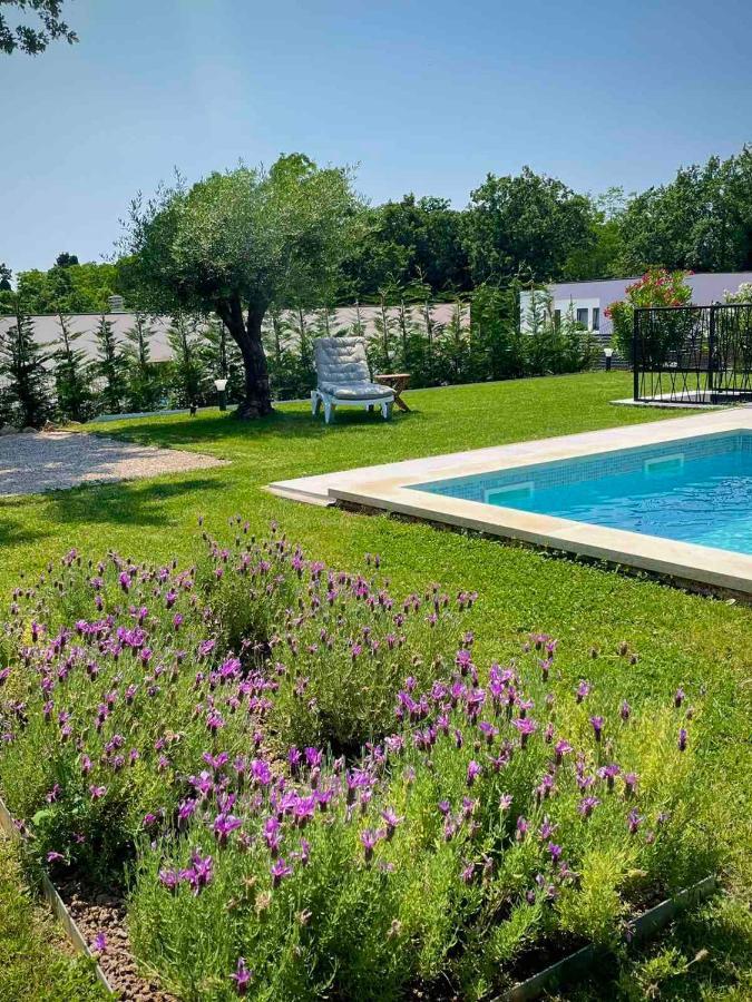 Villa Destiny Nedescina, Istrien, Kroatien Ngoại thất bức ảnh
